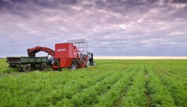  21 investment projects will be implemented in the agricultural sector of the region